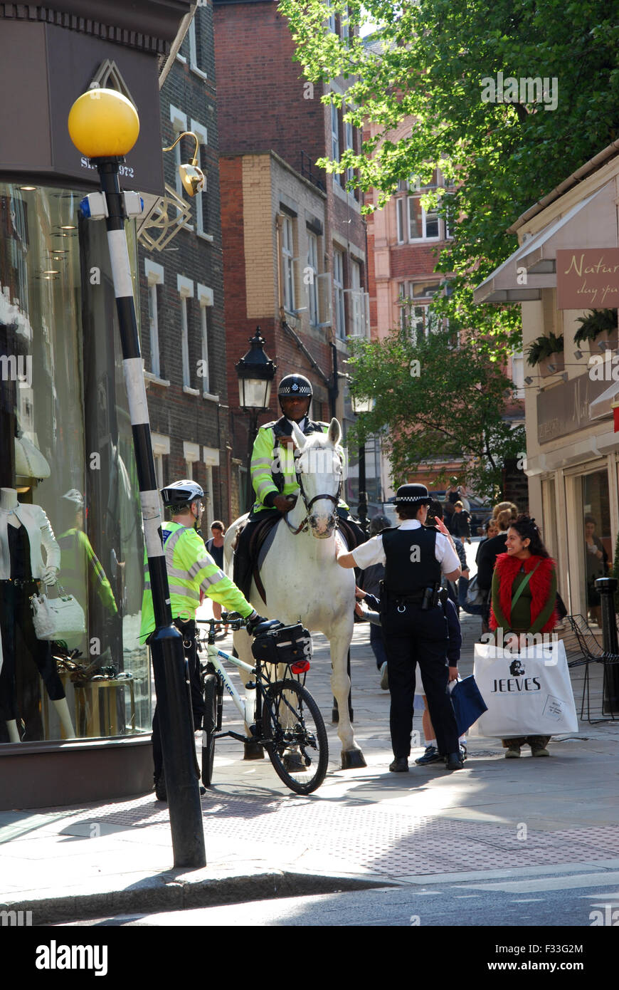 Force de police équestre Hampstead London UK Banque D'Images