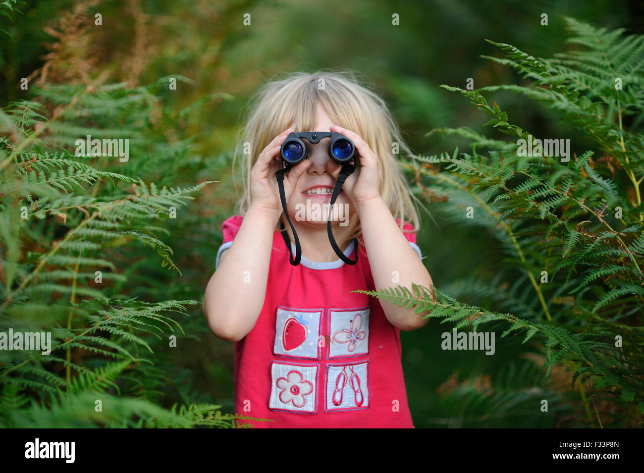 Jeune fille l'observation des oiseaux sur heath Suffolk Sandlings summer Banque D'Images