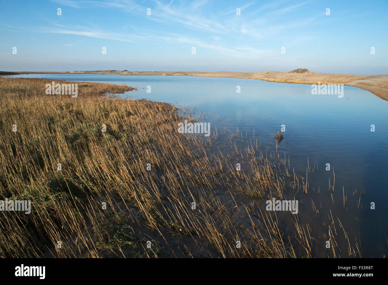 Les marais à effets et plage de galets de la mer du Nord le 5 décembre 2013 à Claj Norfolk Marais Banque D'Images