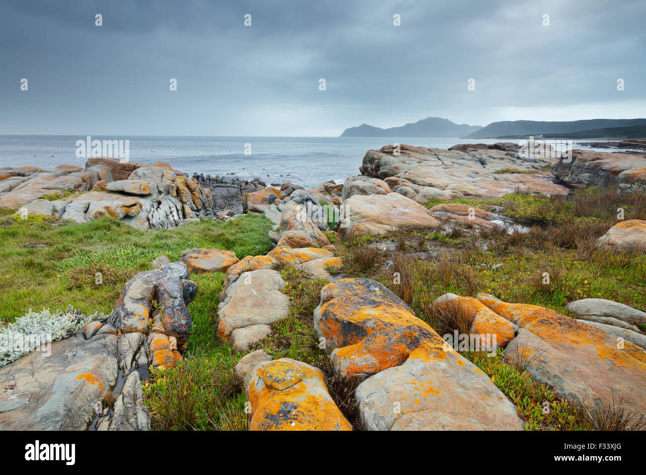 Le Cap de Bonne Espérance à roches noires, Cape Point, Afrique du Sud Banque D'Images