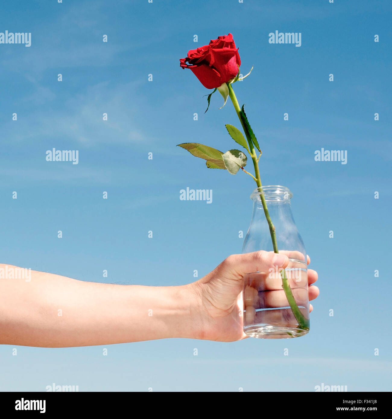 Libre d'un jeune homme de race blanche avec une bouteille en verre avec une rose rouge dans elle, contre le ciel bleu Banque D'Images
