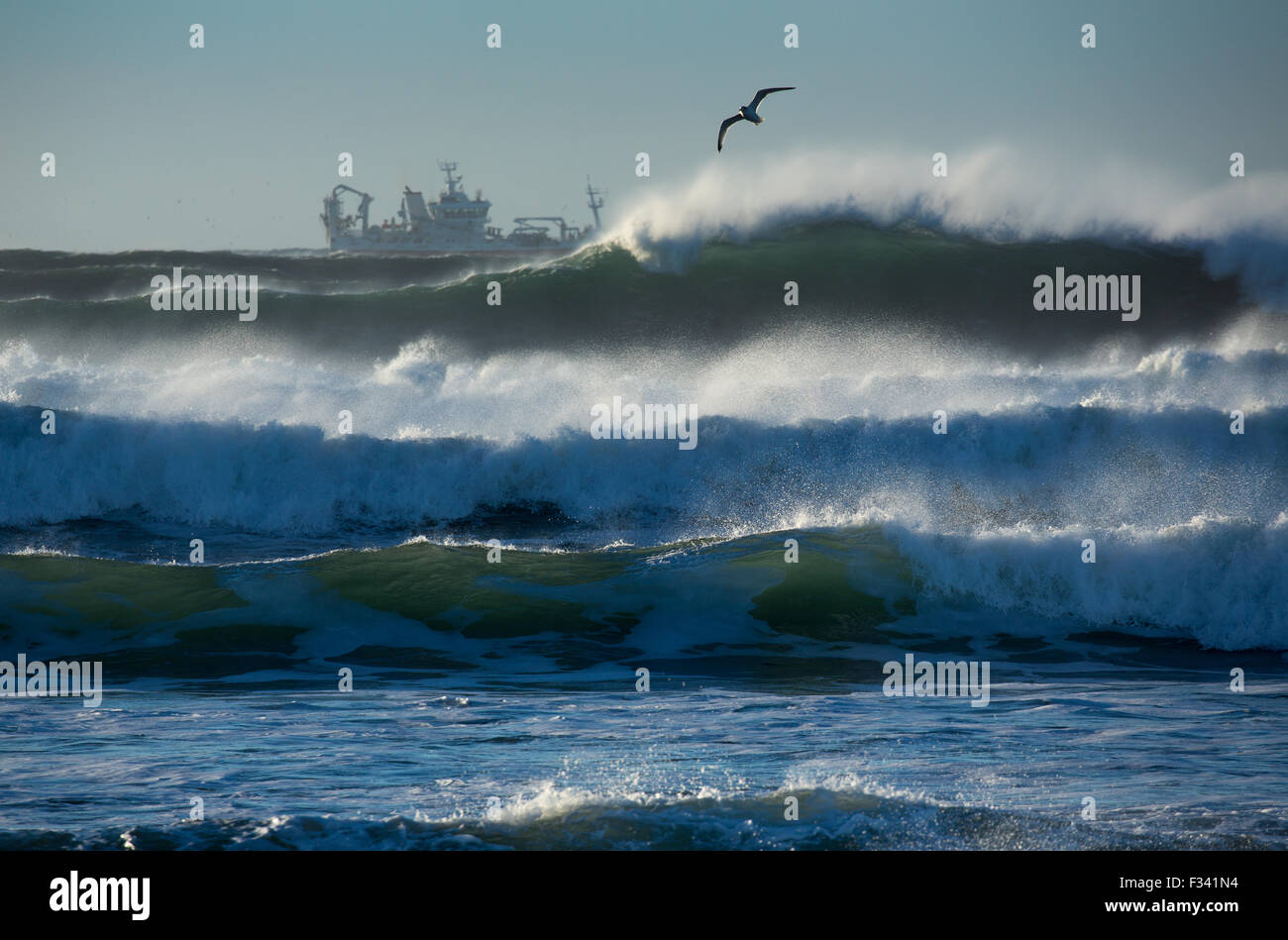 Vagues au large de la péninsule de Reykjanes, l'Islande Banque D'Images Vagues au large de la péninsule de Reykjanes, l'Islande Banque D'Images