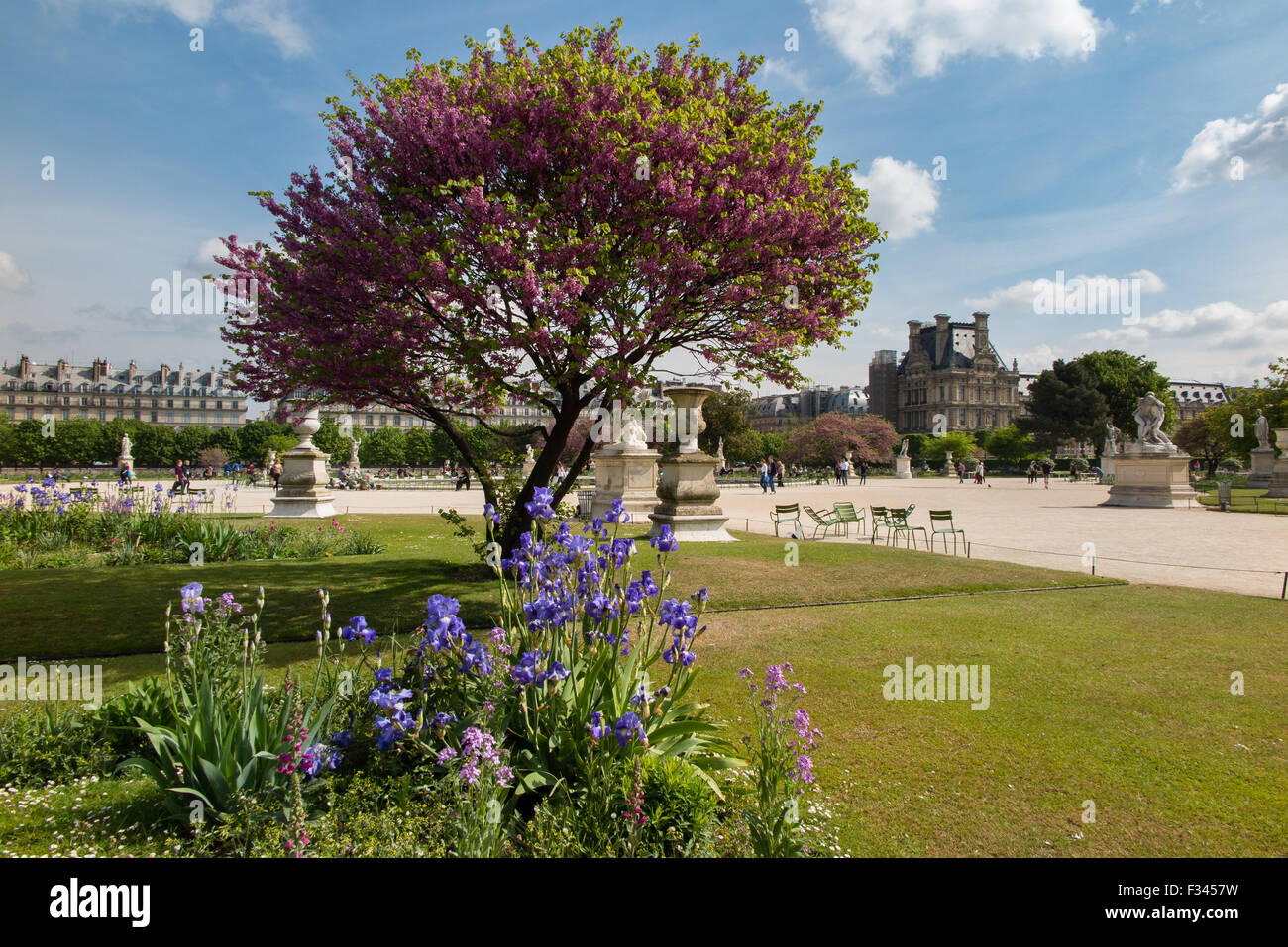 Jardin des Tuileries, Paris, France Banque D'Images
