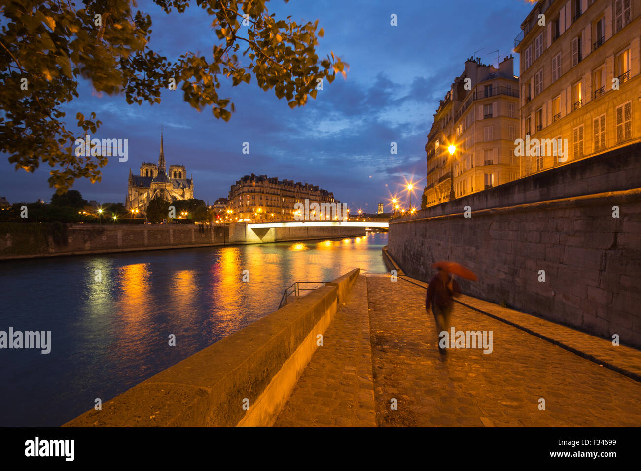 Cathédrale Notre-Dame et l'Île de la Cité de l'Ile St Louis la nuit, Paris, France Banque D'Images