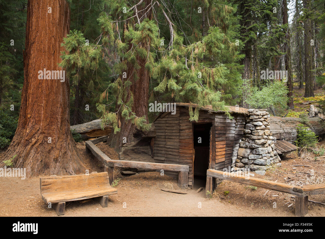 Tharp's Log, Log pré, Sequoia National Park, Californie, USA Banque D'Images