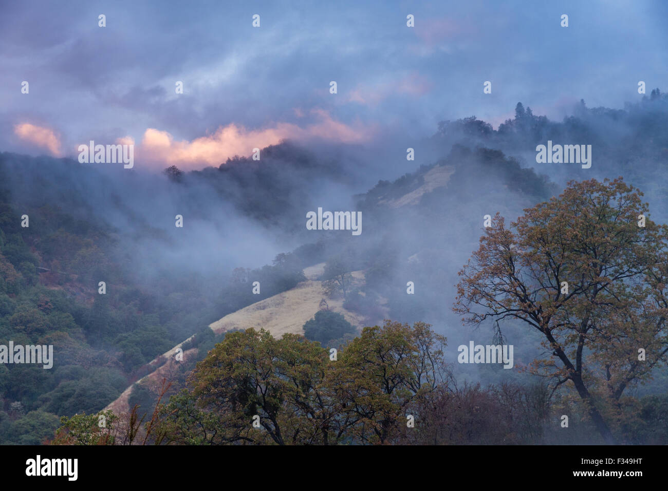 Mist après une douche à effet pluie dans la Kaweah Valley, Sequoia National Park, California, USA Banque D'Images