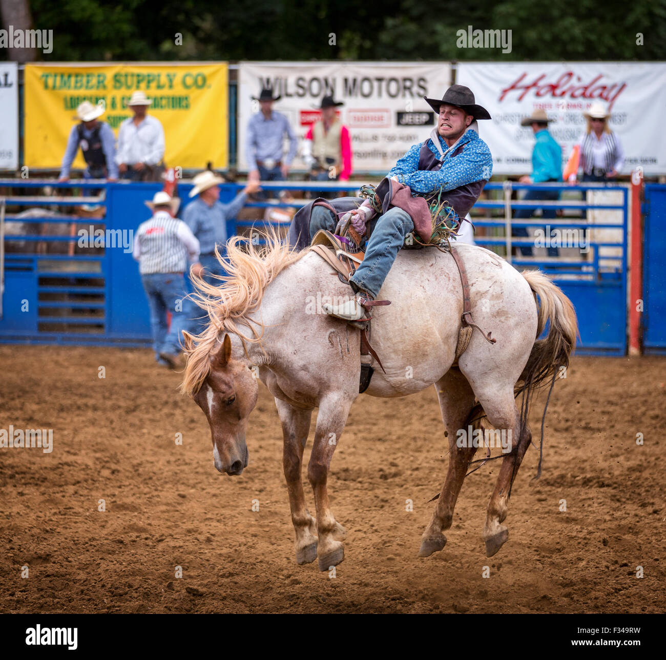 Bareback bronc concurrence, rodéo Philomath, Oregon, USA Banque D'Images