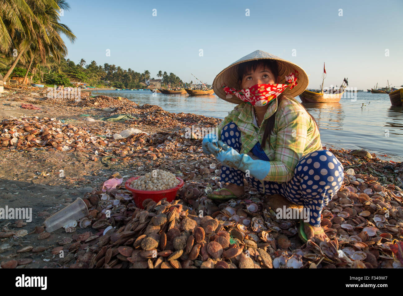 Mesdames de-bombardement de fruits de mer, village de pêcheurs de Mui Ne, Bình Thuận Province, Vietnam Banque D'Images