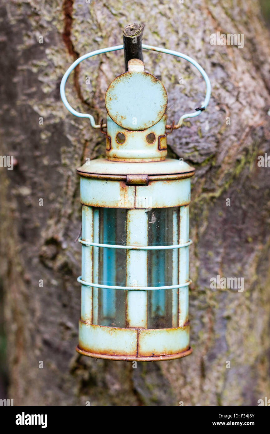 Light blue petite lanterne en métal, vieux, rouillé et patiné, suspendu à partir de la petite branche sur tronc d'arbre dans la lumière terne couvert. Banque D'Images