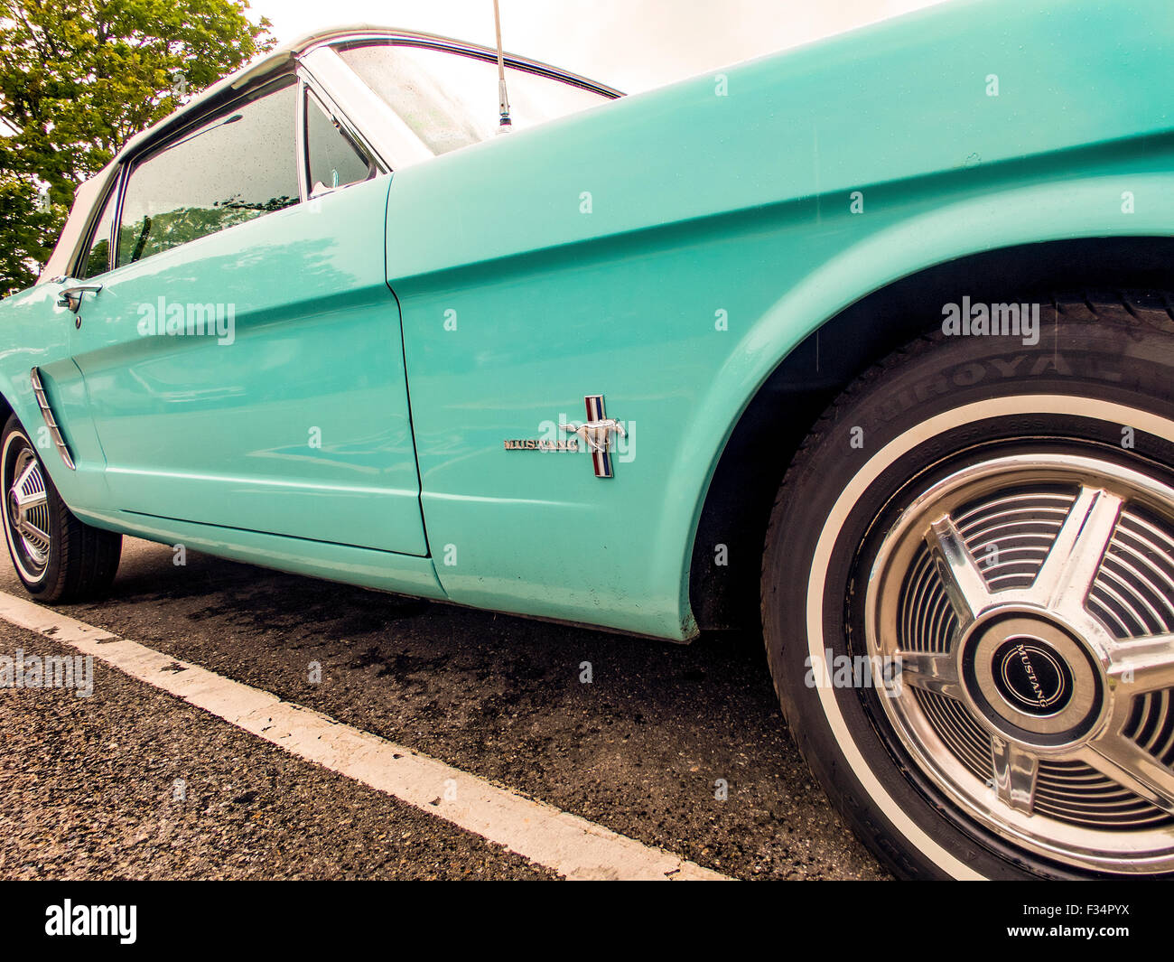 Vers 1965 Robin's egg blue Ford Mustang décapotable. Banque D'Images