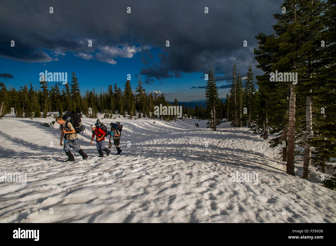 Trois garçons portent leurs sacs sur un sentier couvert de neige sur le Mont Shasta, Shasta Trinity National Forest, Californie. Banque D'Images