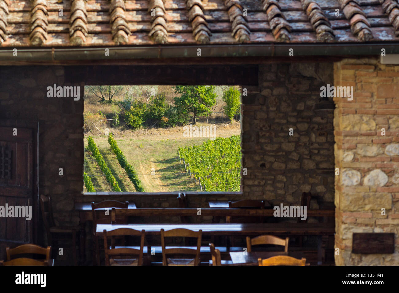 San Casciano, Toscane, Vignoble La Loggia Banque D'Images