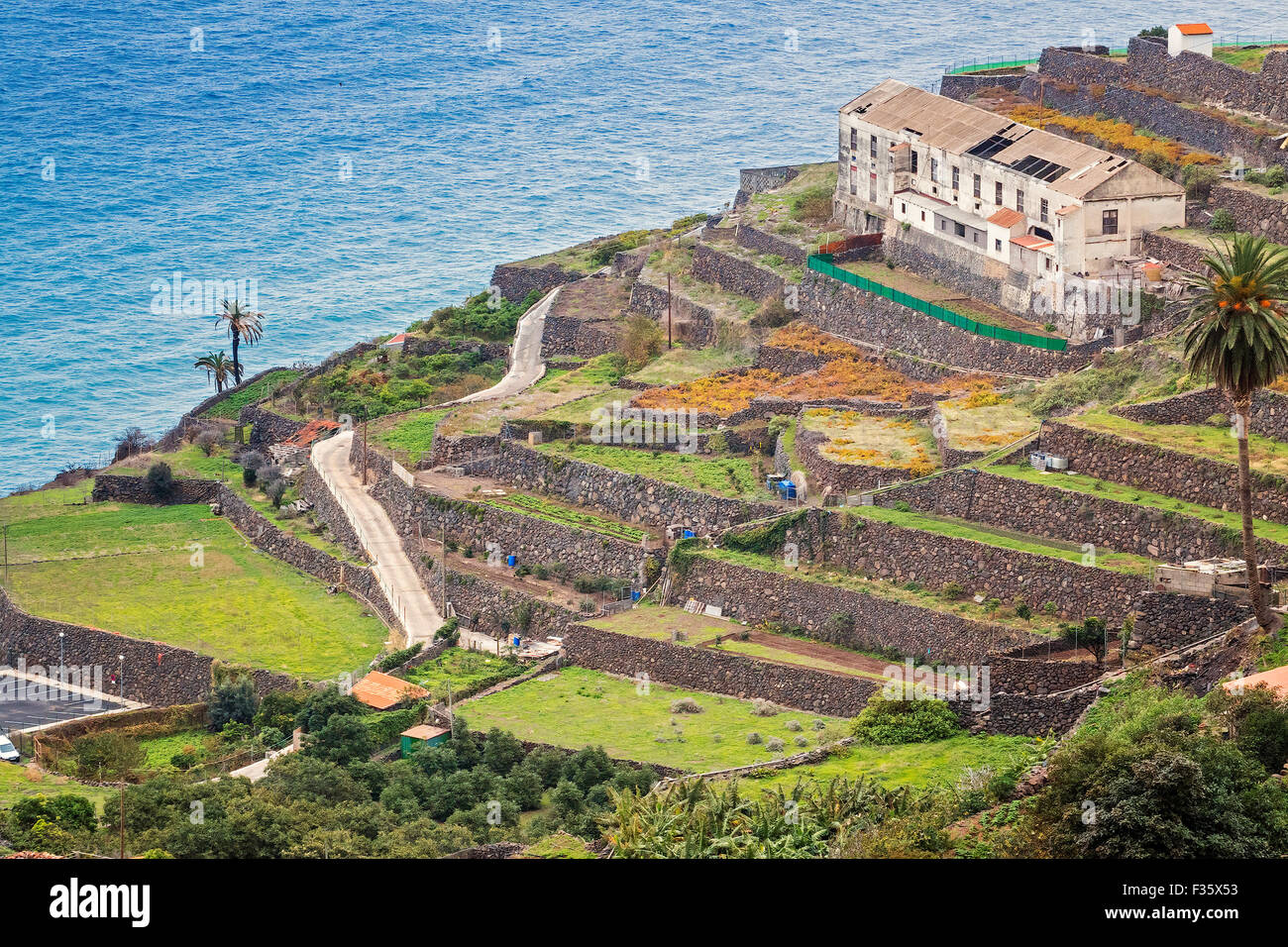 Ferme et champs en terrasses La Gomera Canaries Espagne Banque D'Images