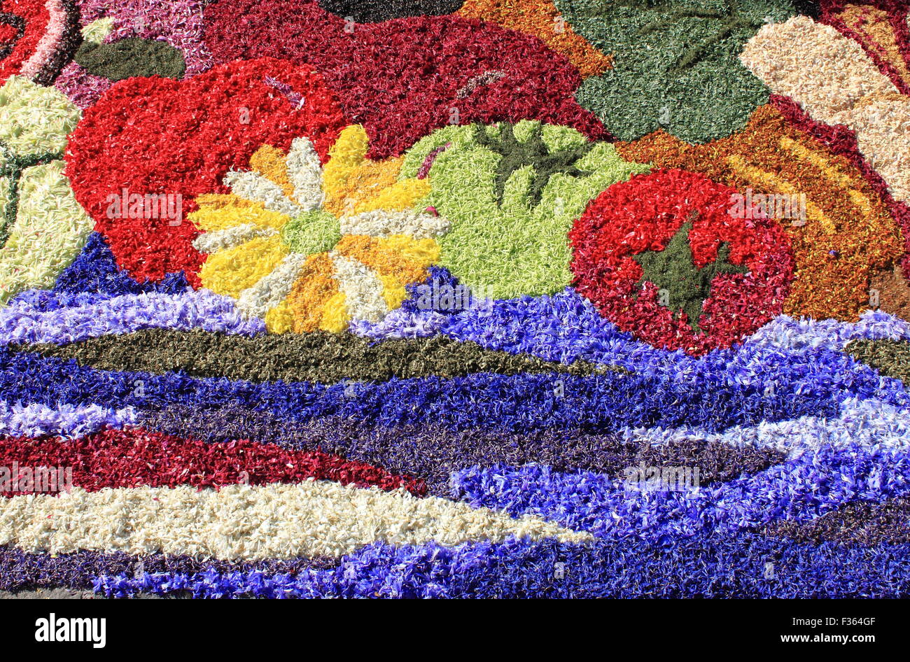 Tapis de fleurs multicolores faites de pétales de fleurs Banque D'Images