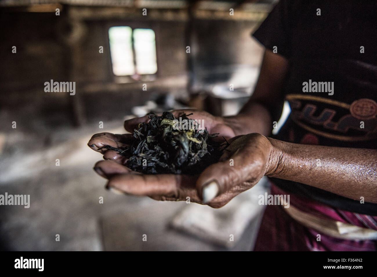 Une femme Palaung accueil boissons thé fait dans un village de montagne près de Kalaw, Shan State, Myanmar. Banque D'Images