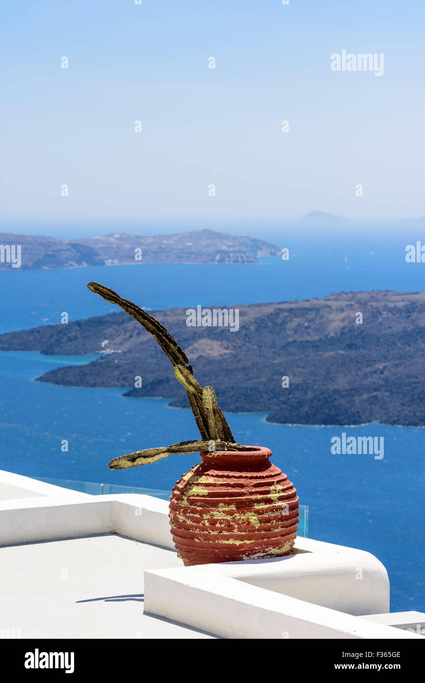 Cactus sur le toit dans un pot à Firostefani, Santorini, Cyclades, Grèce Banque D'Images