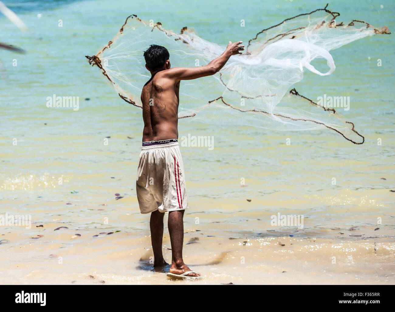 Un pêcheur jette son filet dans la mer à l'île de Koh Phi Phi, Thaïlande Banque D'Images