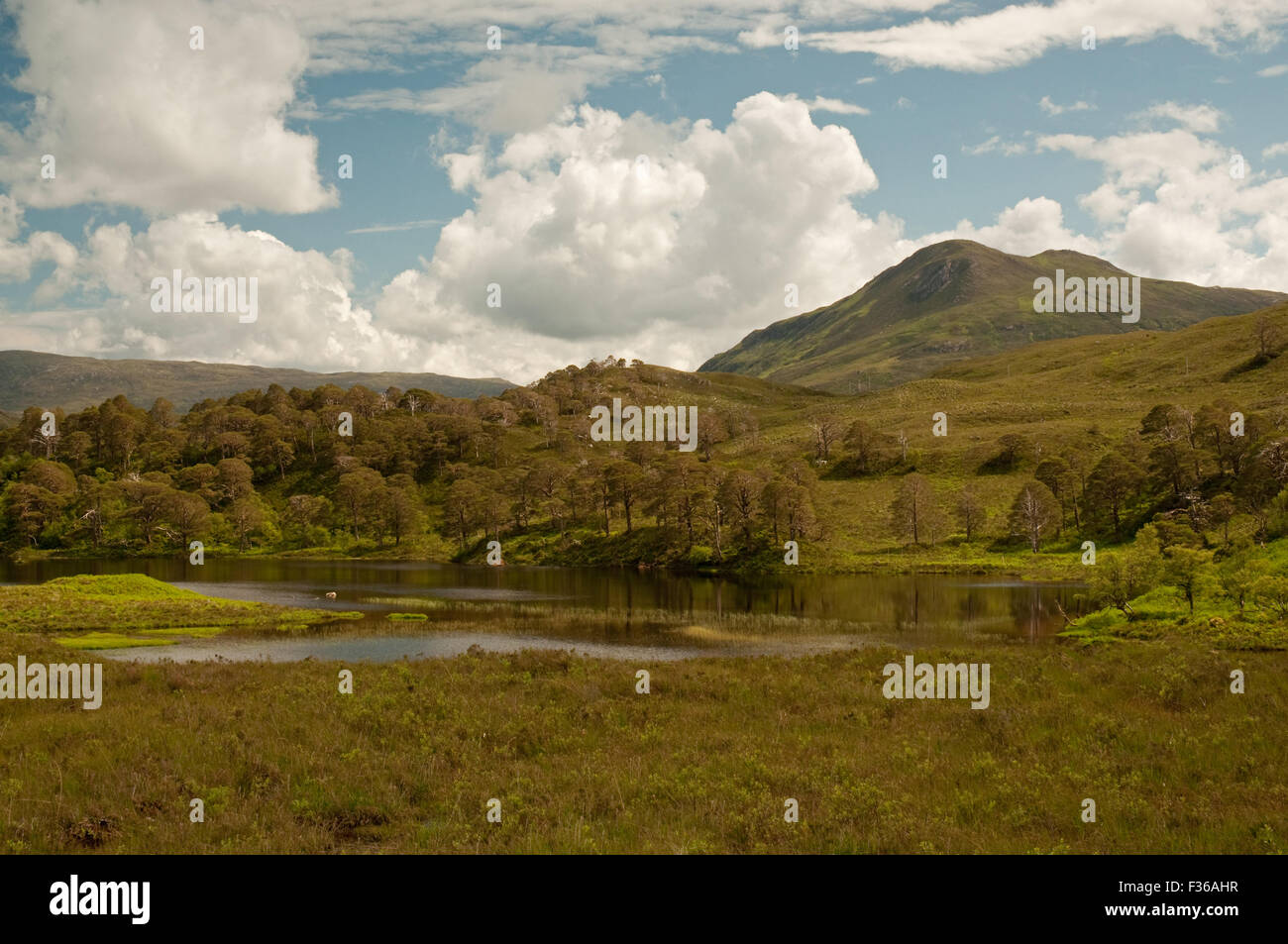 Loch Torridon en clair Banque D'Images