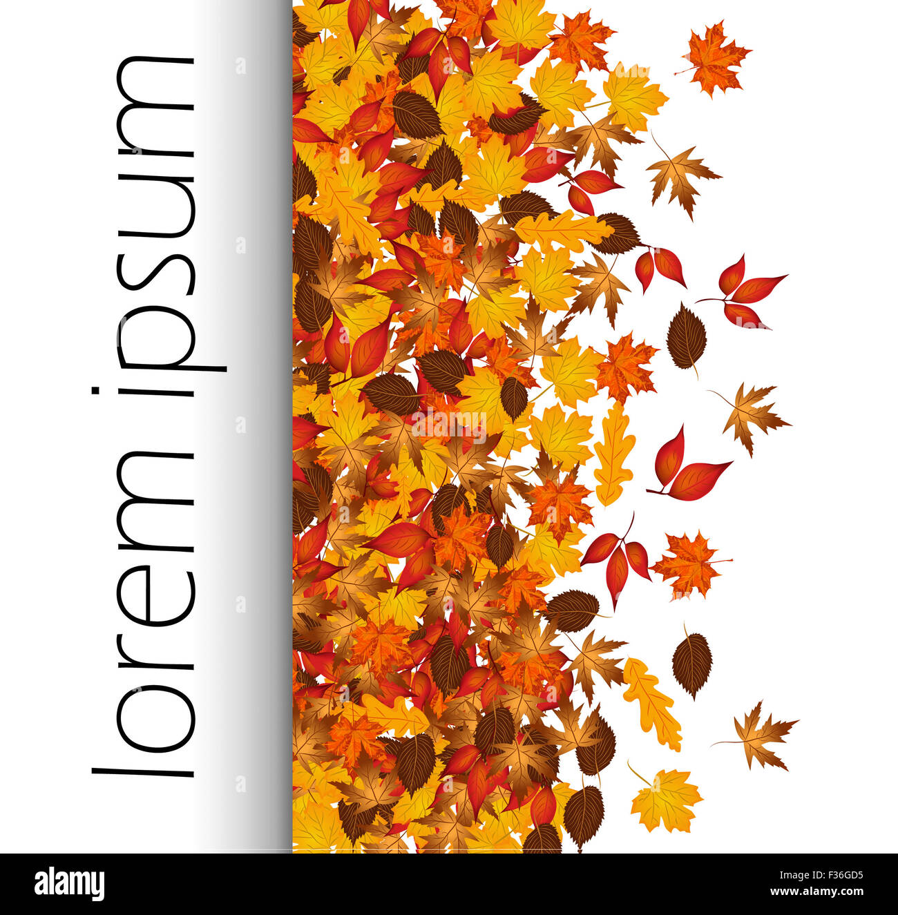 Automne feuilles à en-tête vector background avec l'espace pour le texte. Banque D'Images