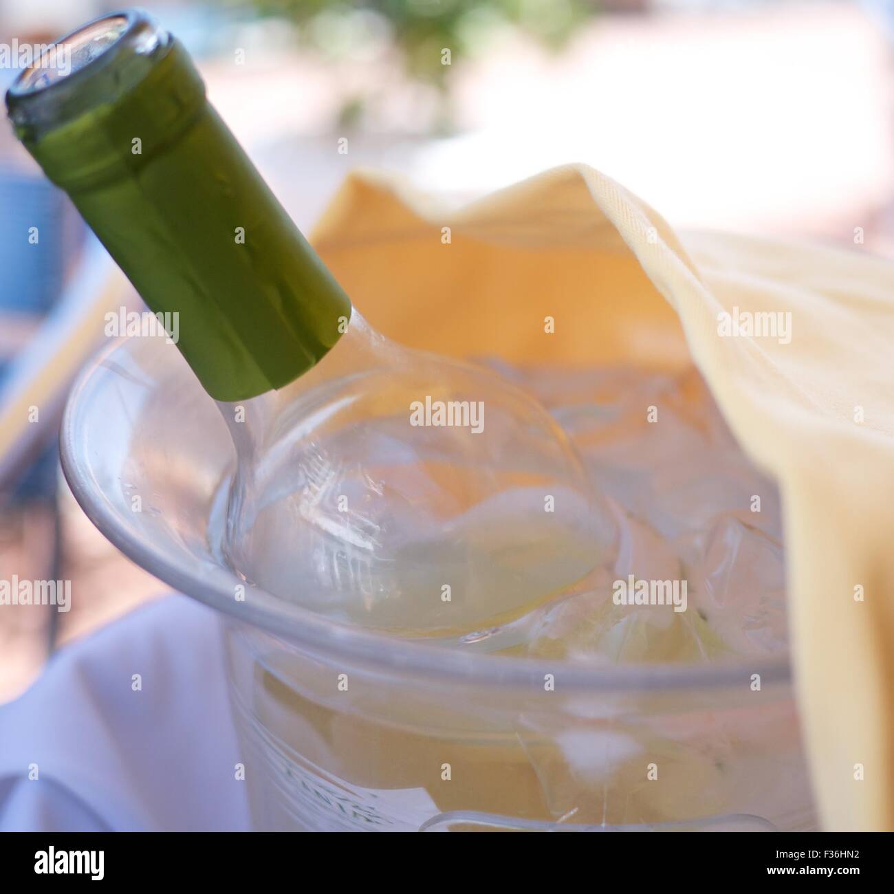 Une bouteille de vin blanc dans une glacière Banque D'Images