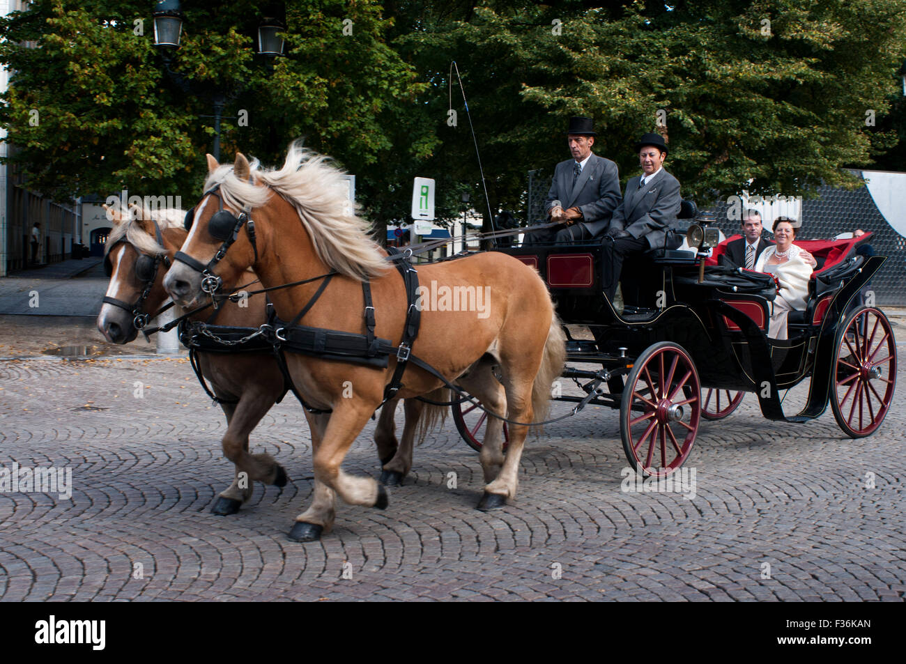 Cheval et en calèche. Vous ne pouvez pas visiter Bruges sans aller sur un cheval et panier tour à travers les rues pavées. À partir de Banque D'Images