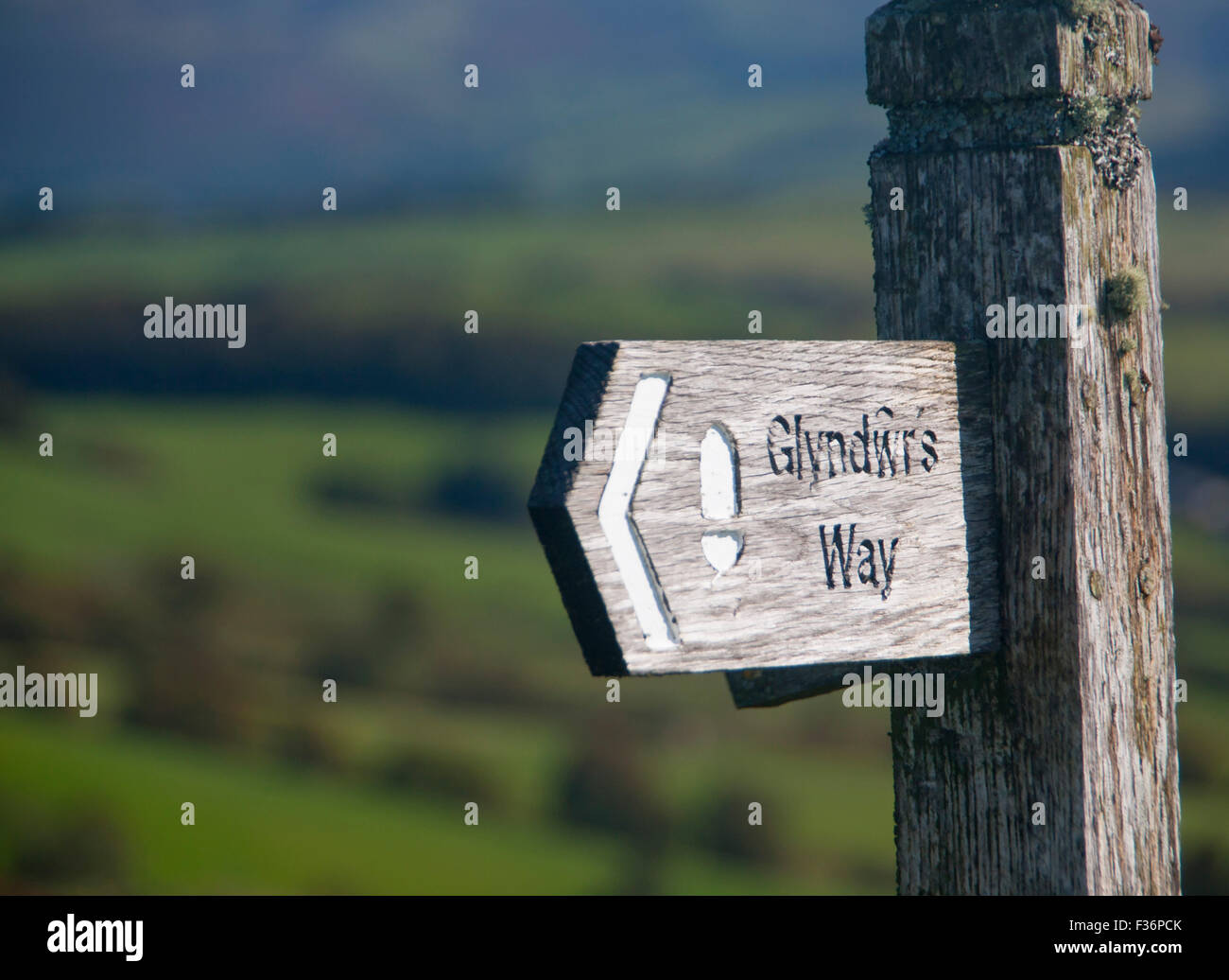 Glyndwr's Way sign panneau Powys Pays de Galles UK Banque D'Images