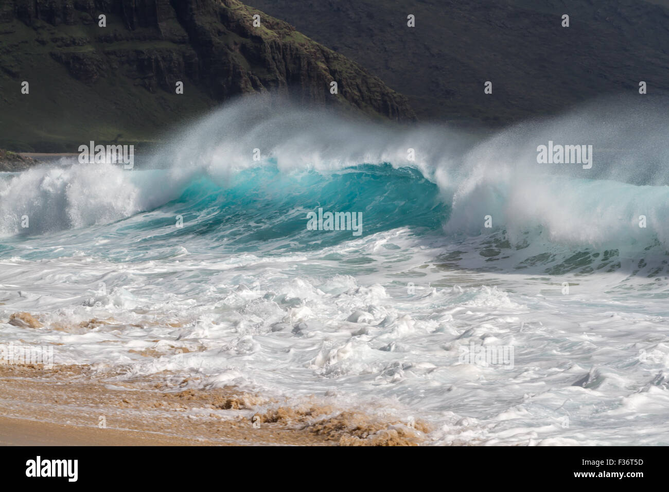 Vague de l'océan sur la côte sous le vent d'Oahu, Hawaii Banque D'Images