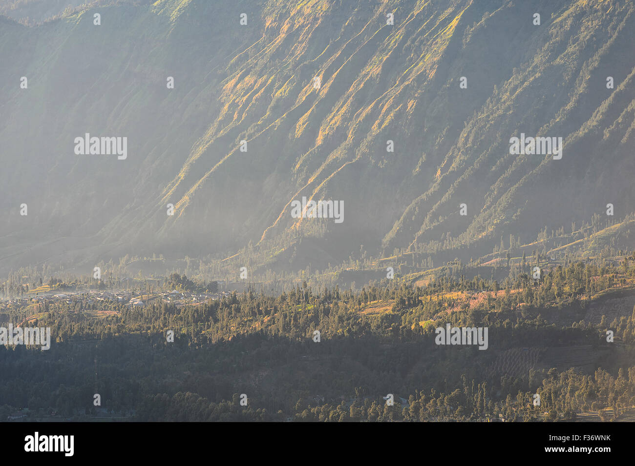 Highland Cemoro Lawang village de Parc National de Bromo Tengger Semeru, l'Est de Java, Indonésie. Banque D'Images