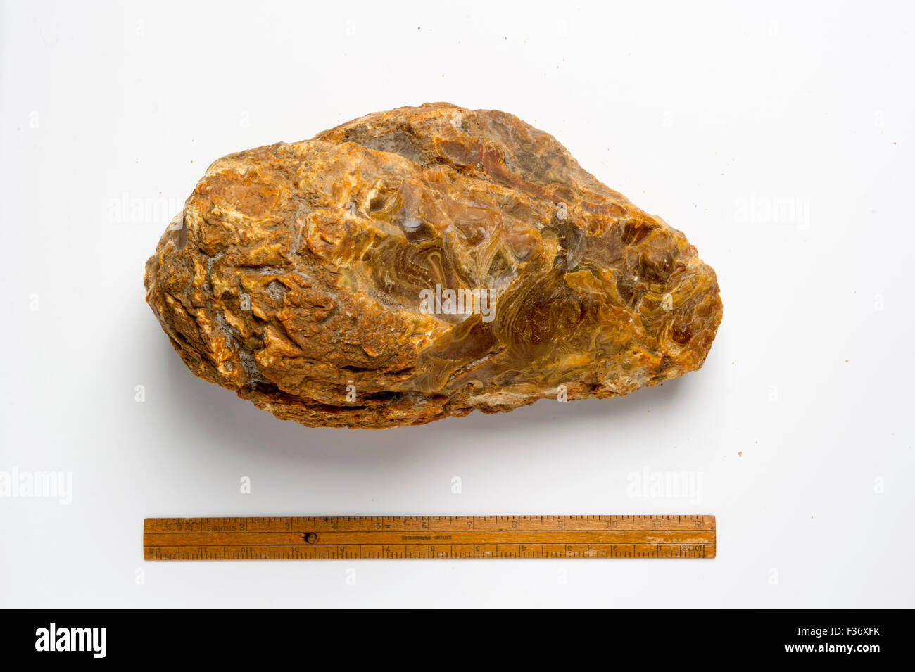 Grand morceau de gomme d'arbre Kauri fossilisés. Trouvé dans la Bay of Islands, Nouvelle-Zélande. Banque D'Images