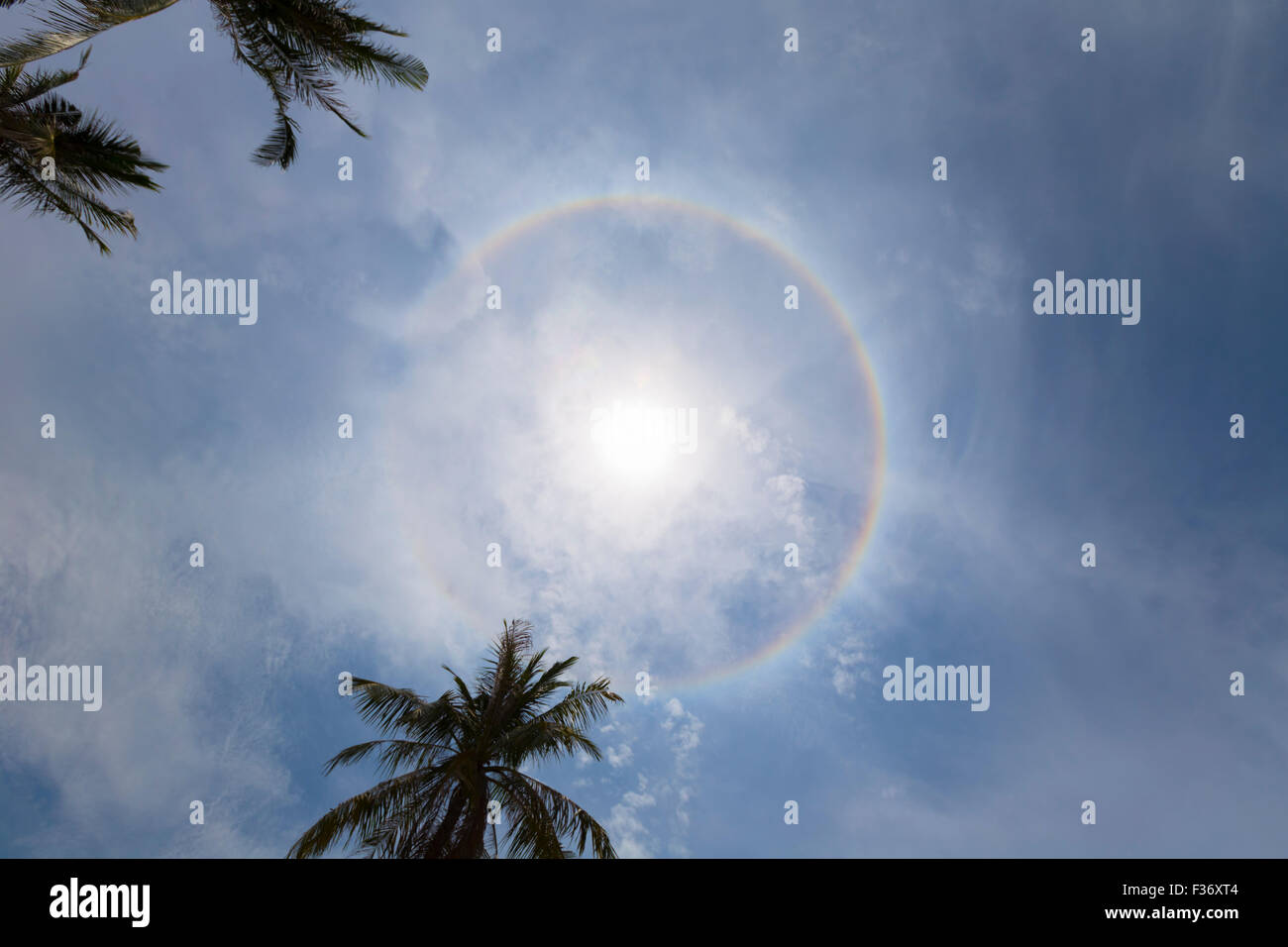 Halo circonscrit, Thaïlande Banque D'Images