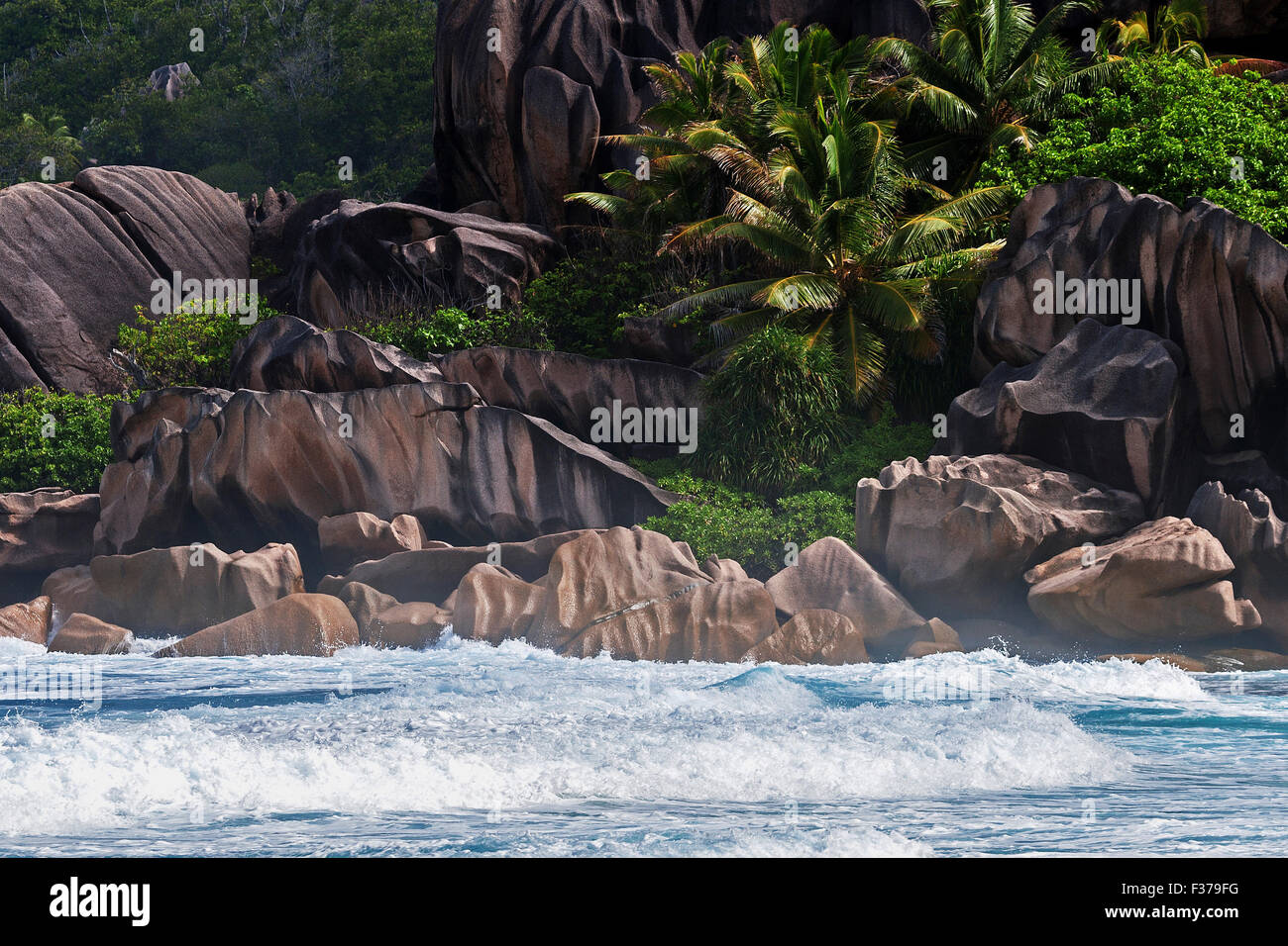 Mer de rochers et de palmiers, à Grand Anse, l'île de La Digue, Seychelles Banque D'Images