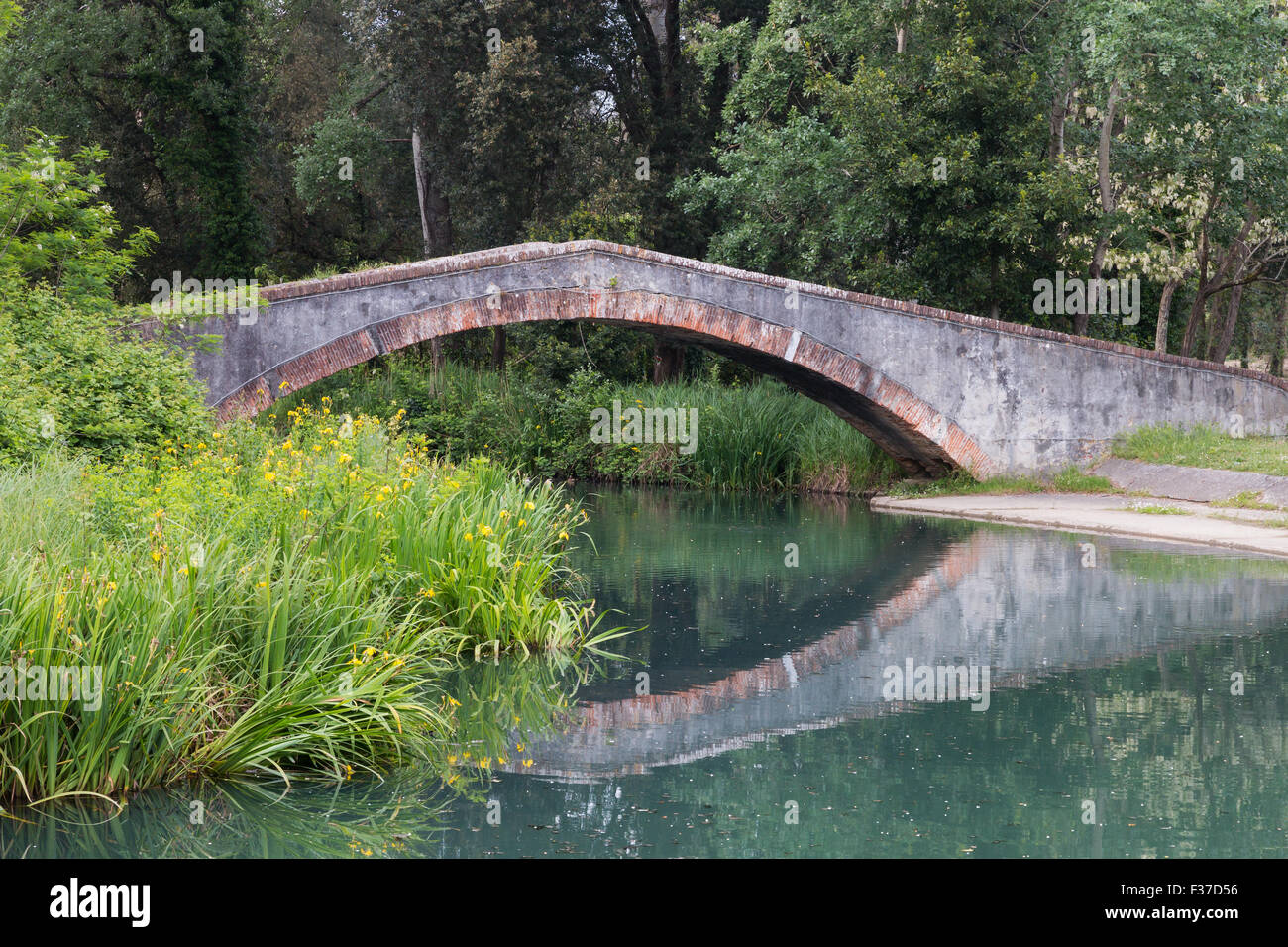 Marina di Pietrasanta vieille Prince's bridge sur la rivière Fiumetto dans Parc de la Versiliana. Belle floraison de l'iris jaune sur la gauche Banque D'Images