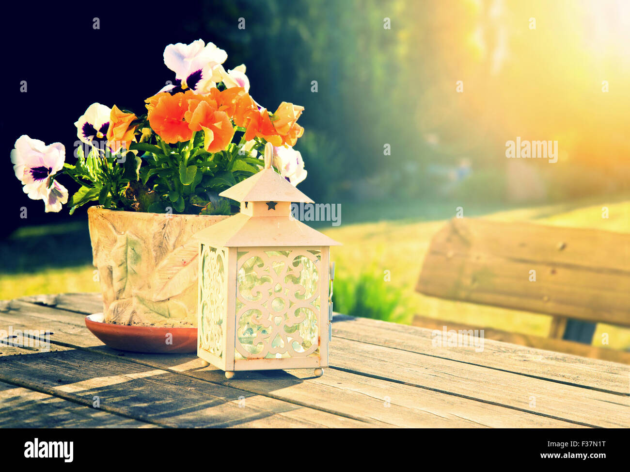 La nature en été. Les fleurs et la lanterne sur la table en bois en lot en été du soleil. Banque D'Images