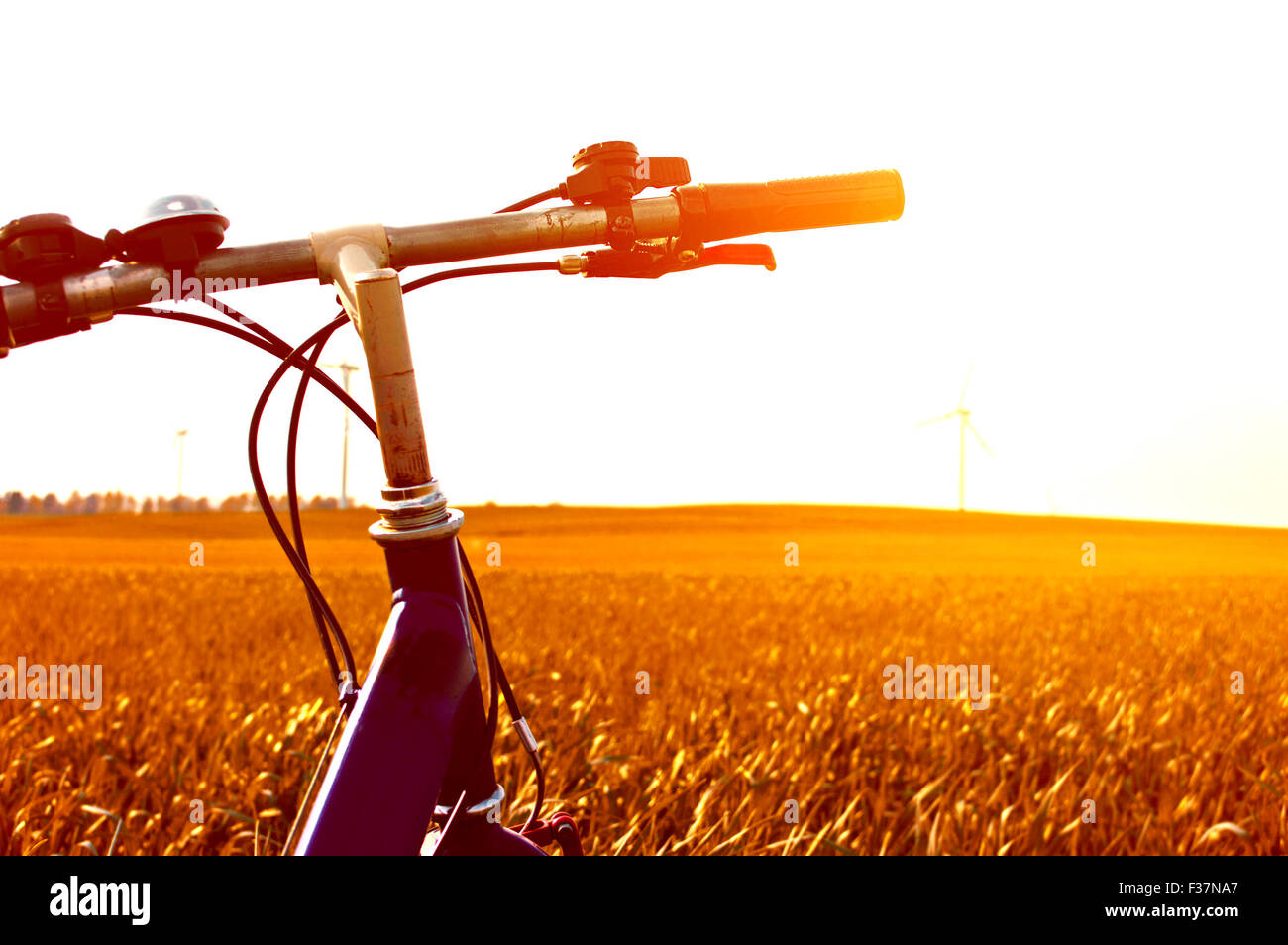 Vélo sur le terrain avec l'herbe au coucher du soleil d'or. Image sport et d'été. Banque D'Images