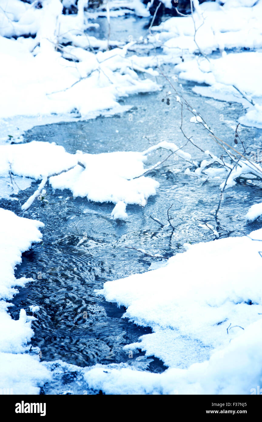 Image d'hiver. Cours d'hiver avec l'eau glacée. Banque D'Images