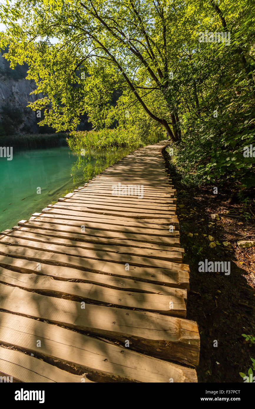 Chemin d'eau de la forêt profonde avec de l'eau claire comme du cristal au soleil. Les lacs de Plitvice, Croatie Banque D'Images