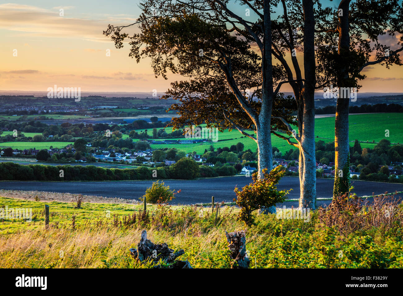 Lumière du soir sur la campagne du Wiltshire à Winfield. Banque D'Images