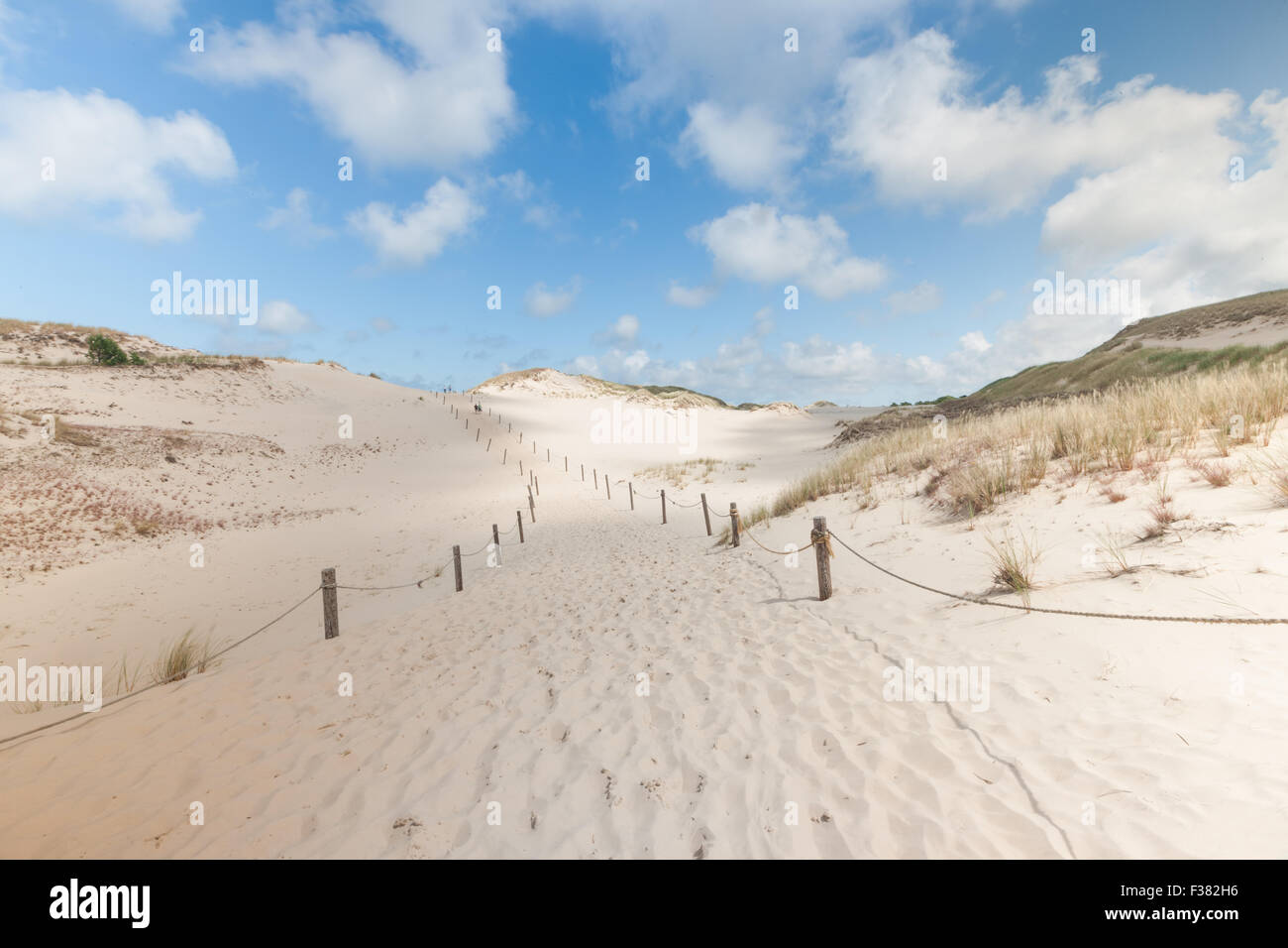 Déplacement des dunes dans le Parc National Slowinski, Pologne Banque D'Images