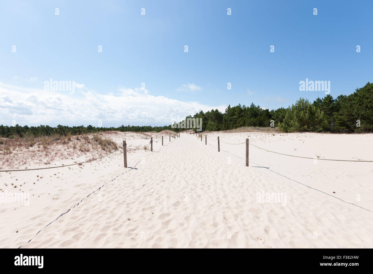 Déplacement des dunes dans le Parc National Slowinski, Pologne Banque D'Images