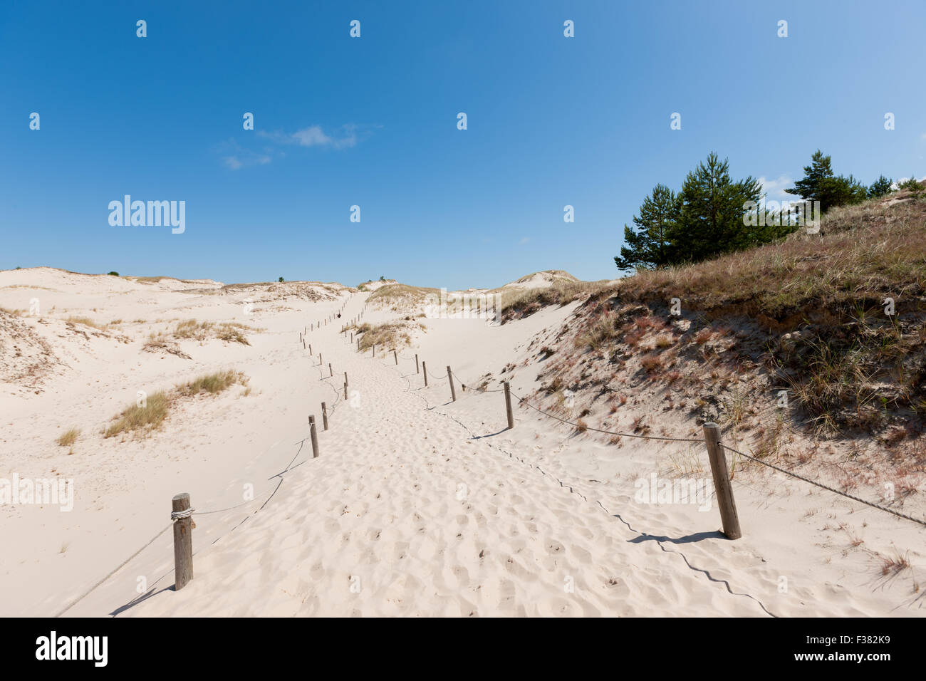 Déplacement des dunes dans le Parc National Slowinski, Pologne Banque D'Images