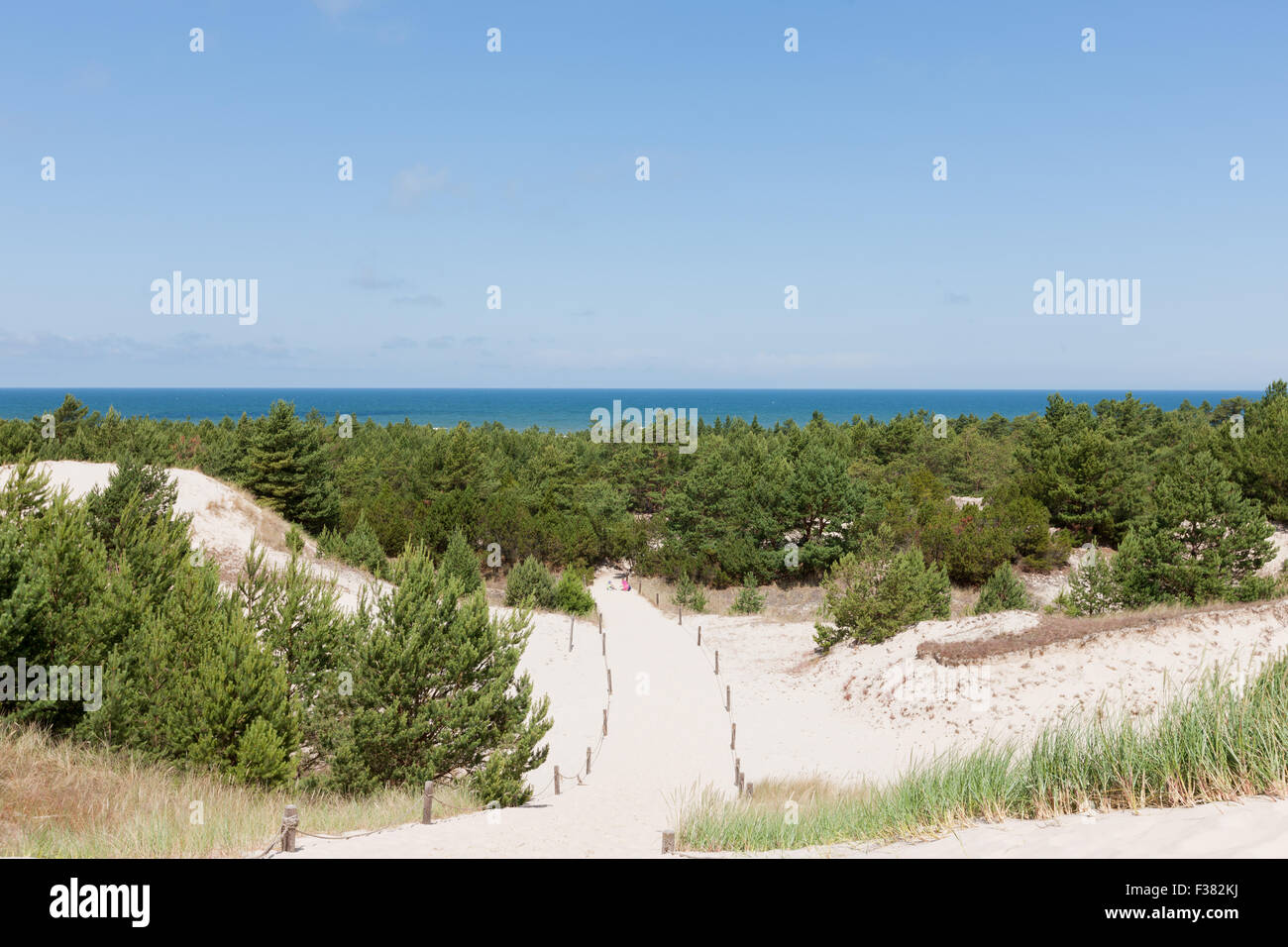 Déplacement des dunes dans le Parc National Slowinski, Pologne Banque D'Images