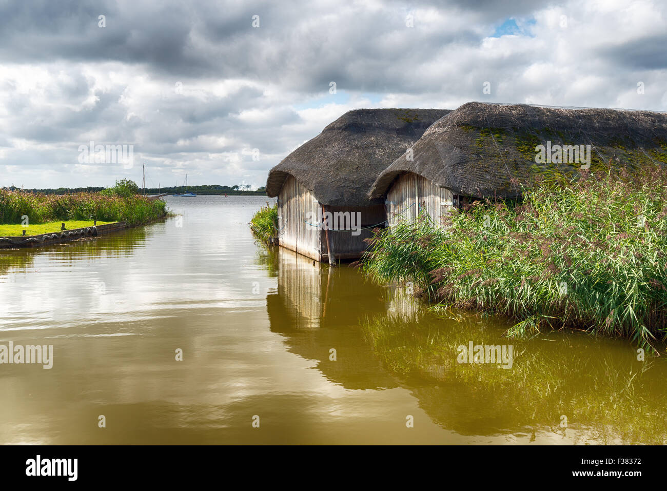 Bois de chaume à bateaux sur la Hickling large à Norfolk Banque D'Images