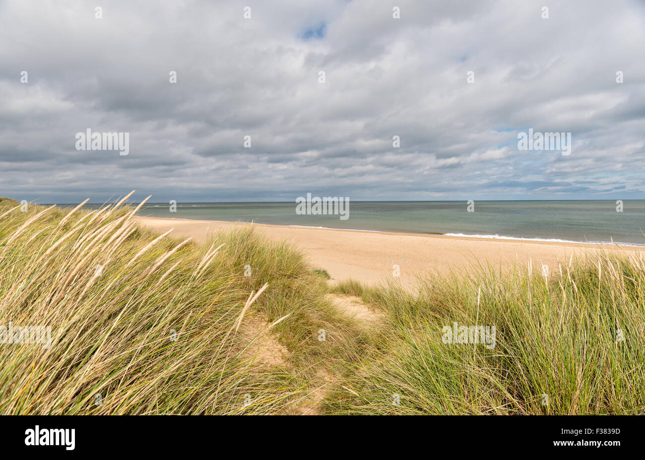 La plage et des dunes de sable à Winterton sur mer sur la côte de Norfolk Banque D'Images