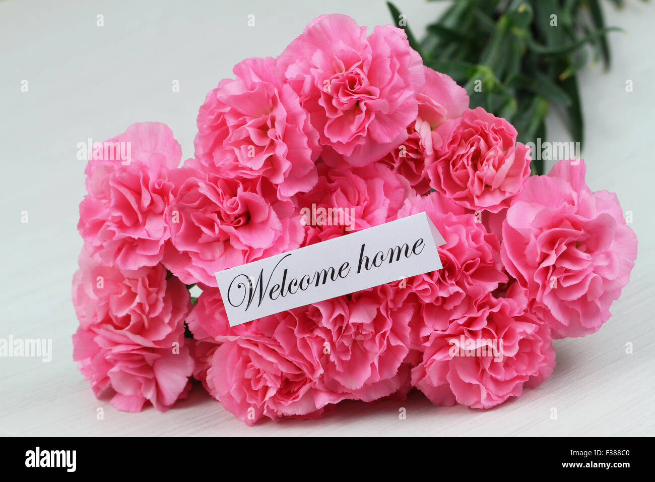 Bienvenue accueil carte avec oeillet rose bouquet de fleurs Banque D'Images