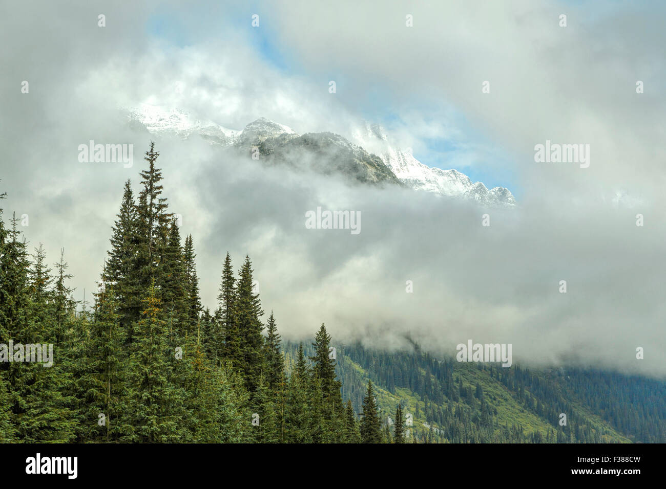 Neige fraîche sur les sommets des montagnes dans le parc national des Glaciers, Trans Canada Highway, Columbia Shuswap, Colombie-Britannique, Canada. Banque D'Images