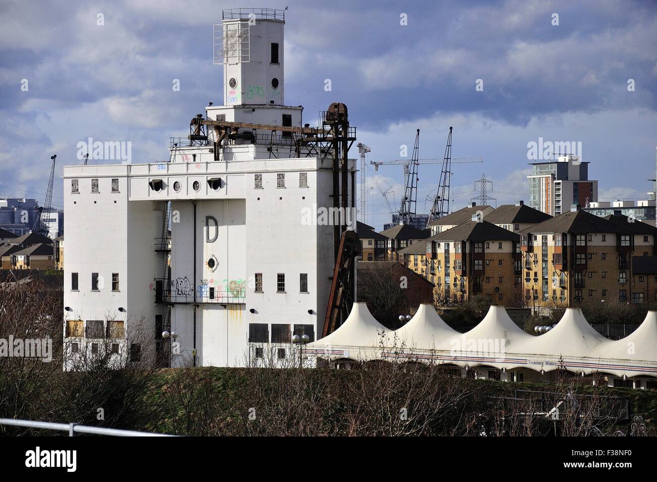 Silo 'd', un silo de stockage de grain désutilisé et maintenant un bâtiment classé, Royal Victoria Dock, East Silvertown, Londres, Angleterre, ROYAUME-UNI Banque D'Images