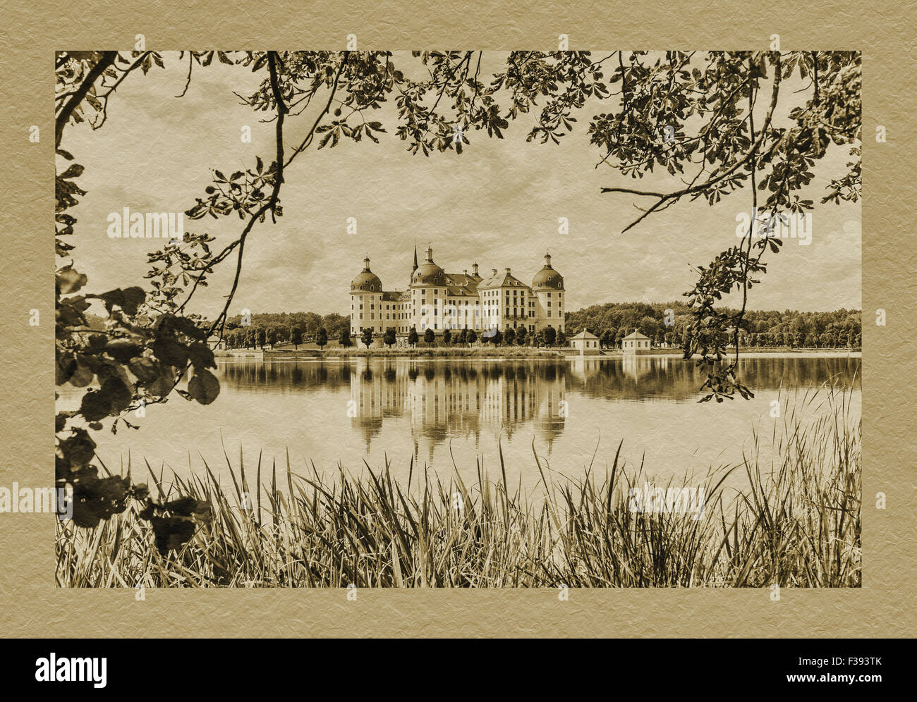 Château de Moritzburg, pavillon de chasse baroque de Saxe Auguste le Fort King près de Dresde, Saxe, Allemagne, Europe Banque D'Images