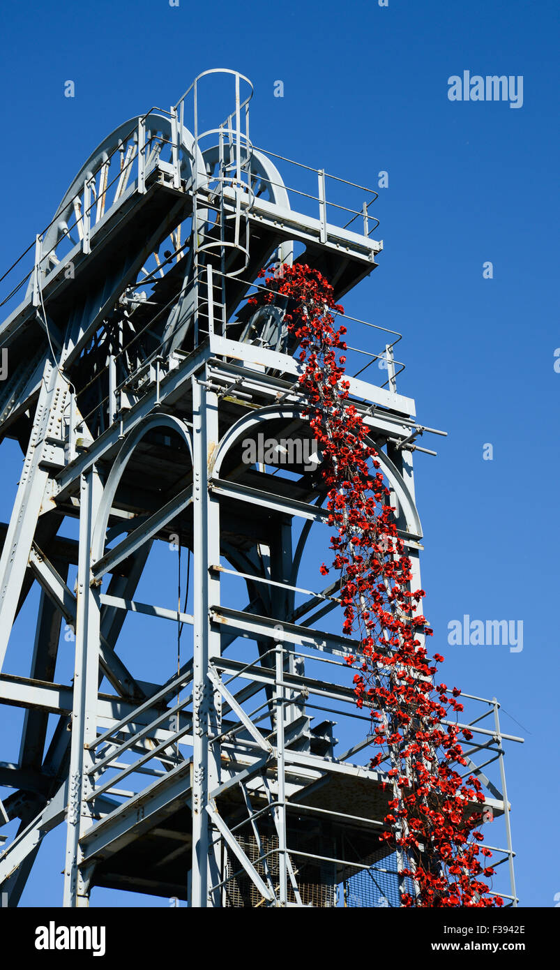 La fenêtre pleurant à Woodhorn par Paul Cummins, artiste, et Tom Piper, designer Banque D'Images