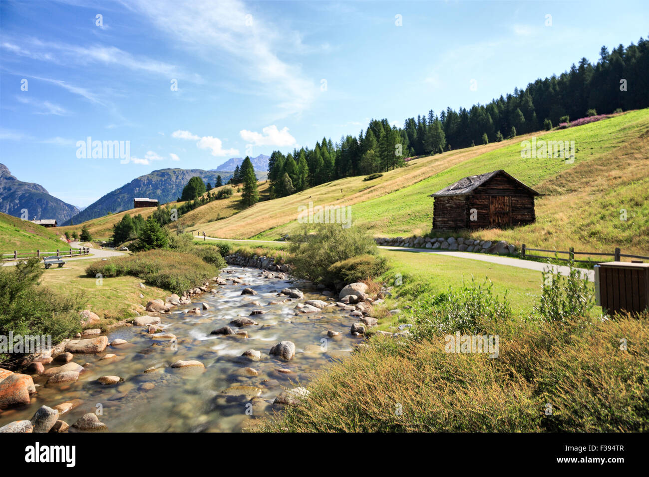 Jolie rivière qui traverse une vallée alpine luxuriante aux côtés d'une route à Livigno, Lombardie, Italie, dans un quartier pittoresque vue paysage Banque D'Images