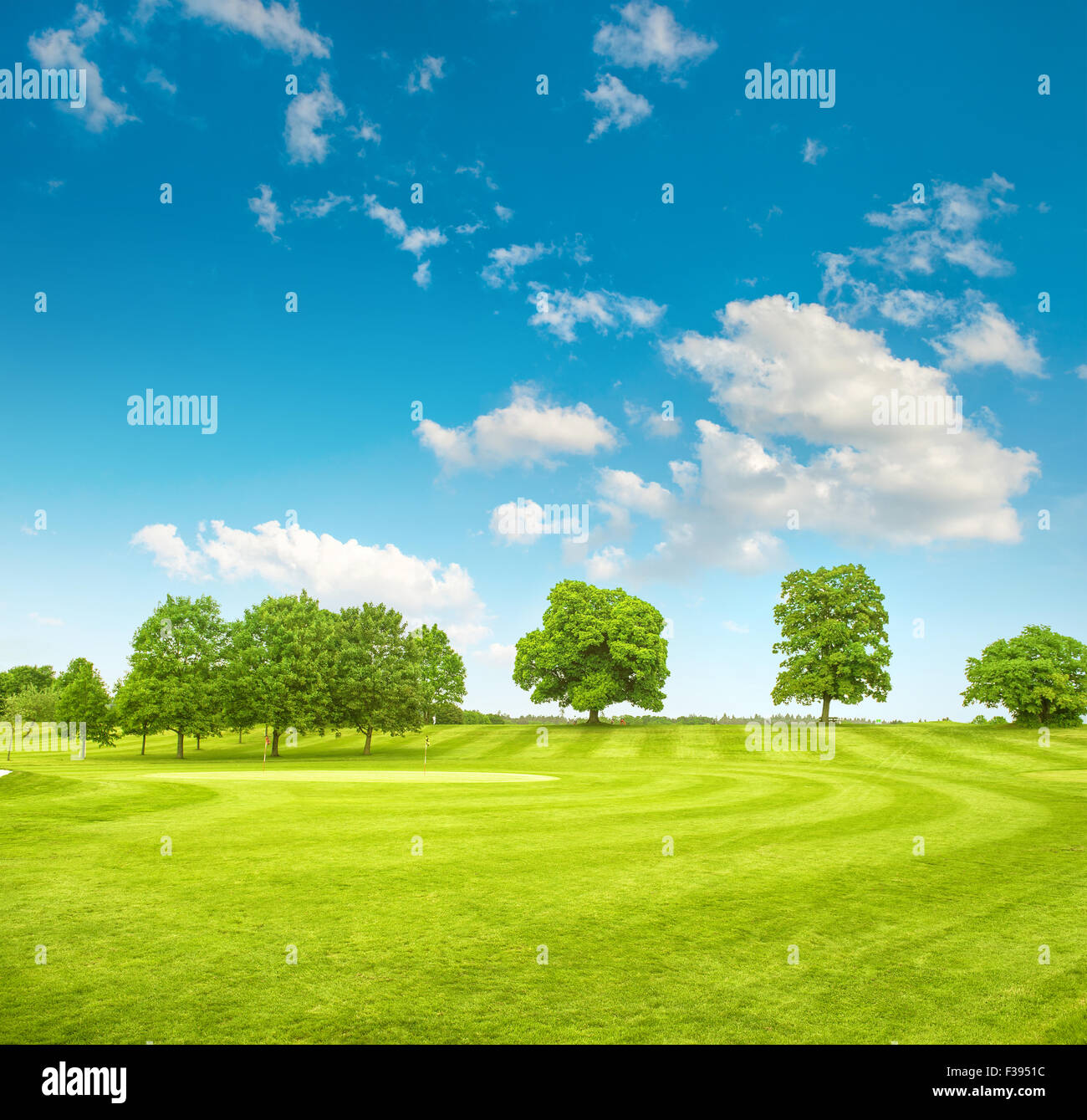 Le parcours de golf. Champ de printemps avec de l'herbe verte, arbres et ciel bleu Banque D'Images